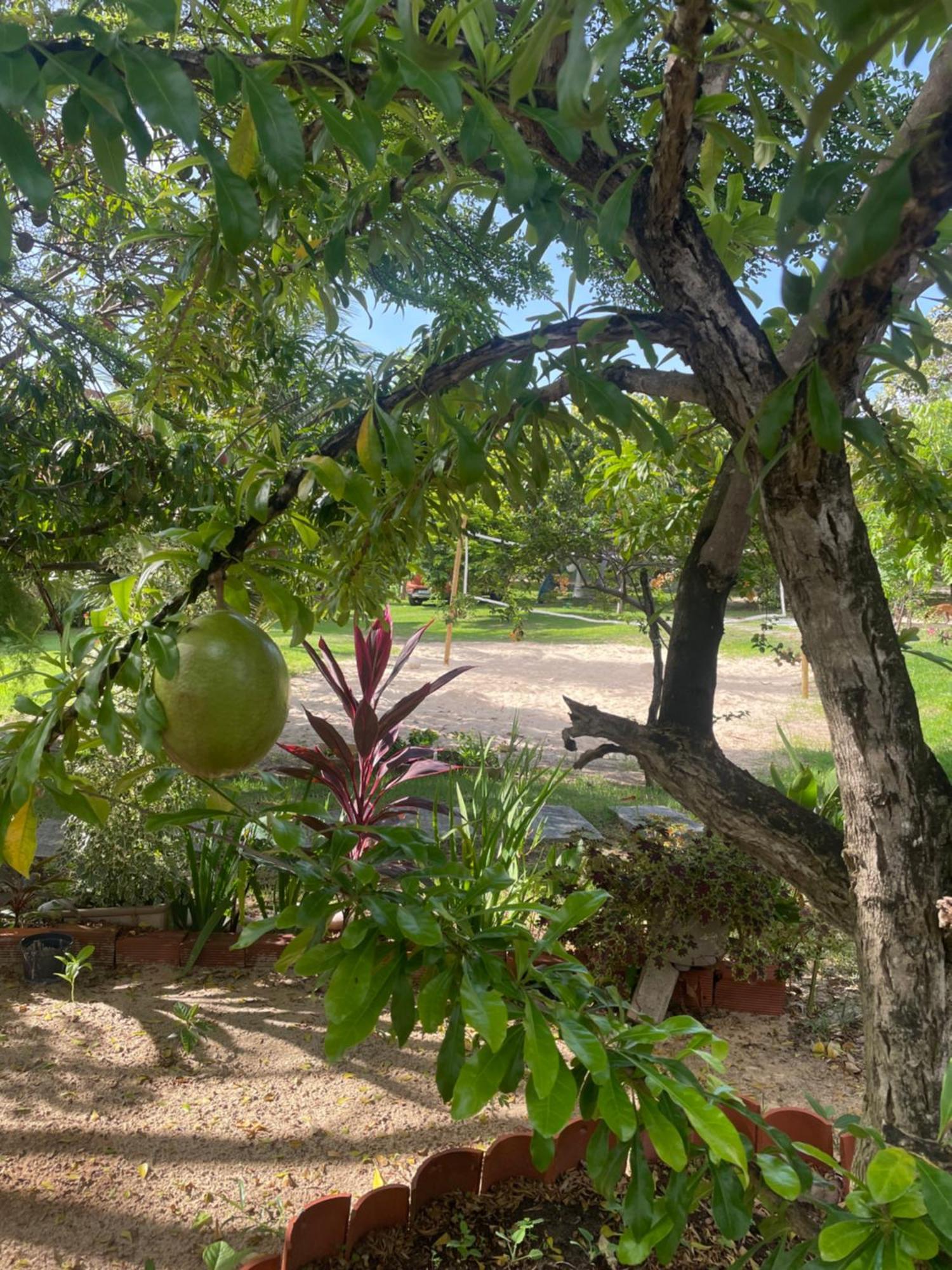 Vila Ybira Taíba المظهر الخارجي الصورة